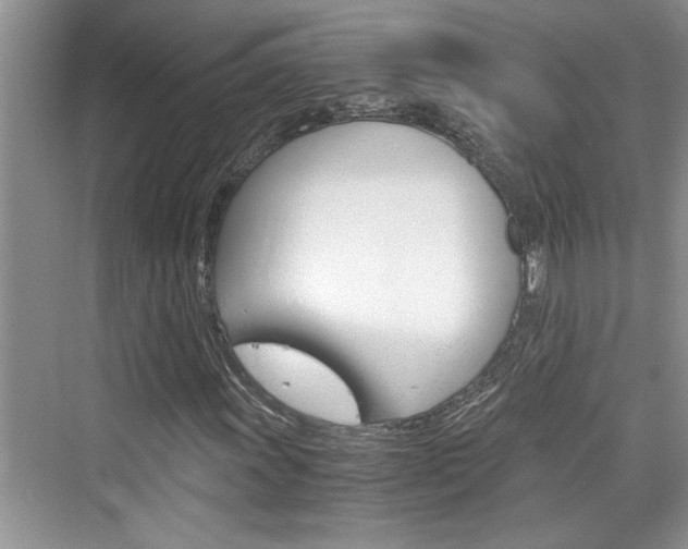 X0000076331011200609290847