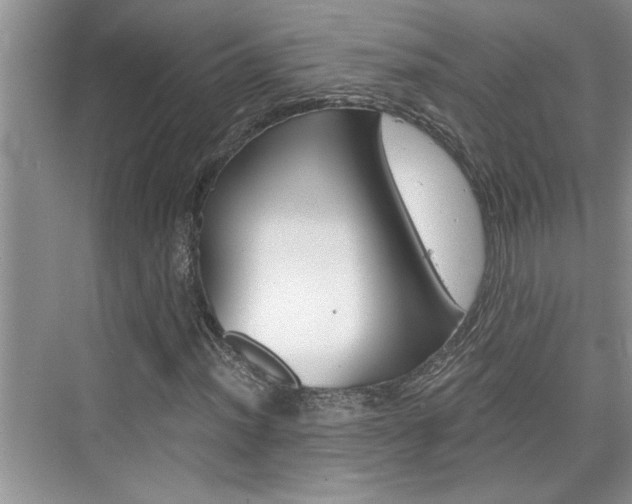 X0000076331012200609290847