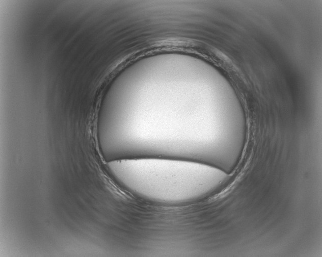 X0000076331017200609290847