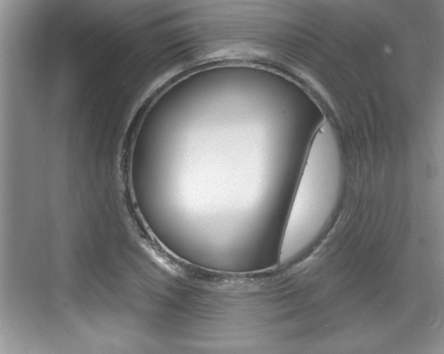 X0000076331026200609290847