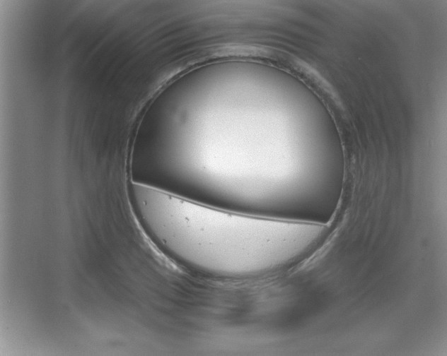 X0000076331033200609290847