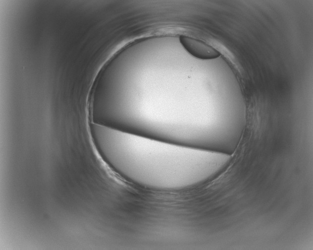 X0000076331047200609290848