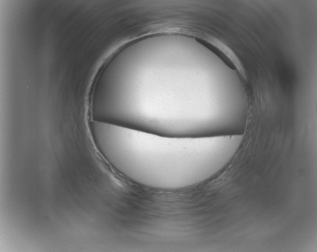 X0000076331051200609290848