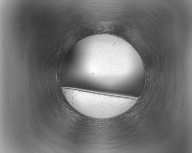 X0000076331058200609290847