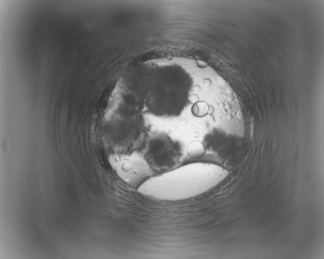 X0000076331059200609290847