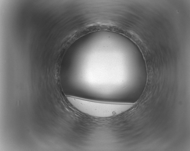 X0000076331110200609290846