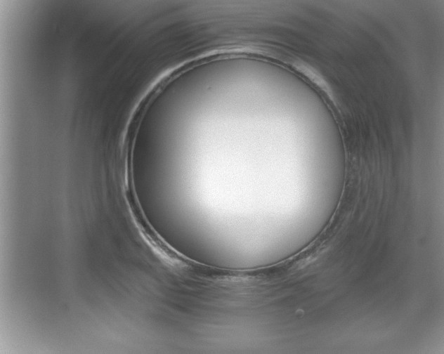 X0000076331127200609290846