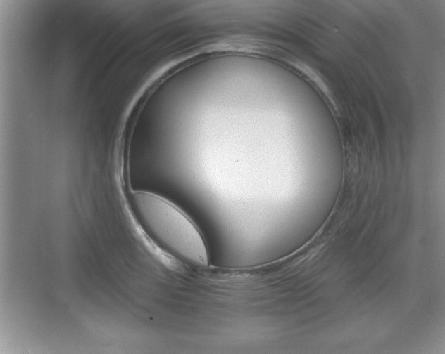 X0000076331131200609290846