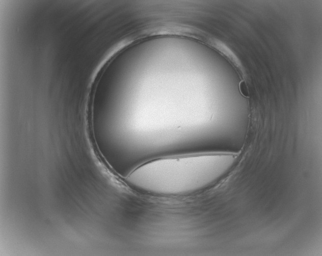 X0000076331138200609290846