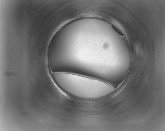 X0000076331141200609290846