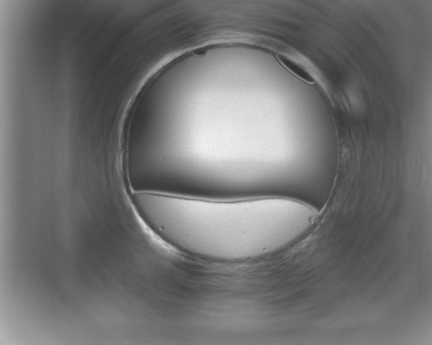 X0000076331143200609290846