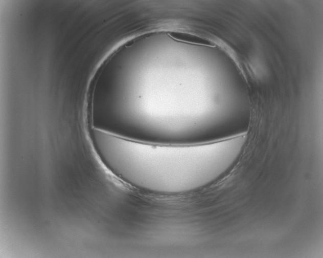 X0000076331147200609290846
