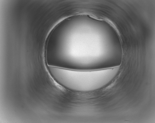 X0000076331149200609290846