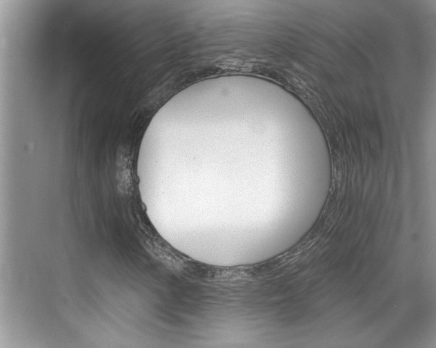 X0000076331154200609290845