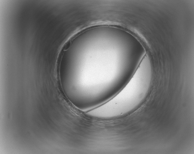 X0000076331173200609290845