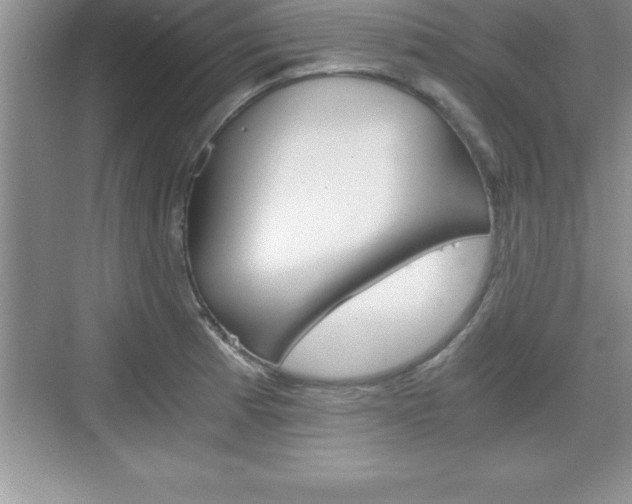X0000076331185200609290845