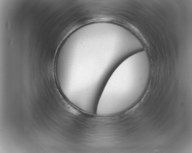 X0000076331186200609290845