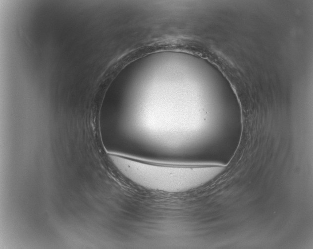 X0000076331206200609290844