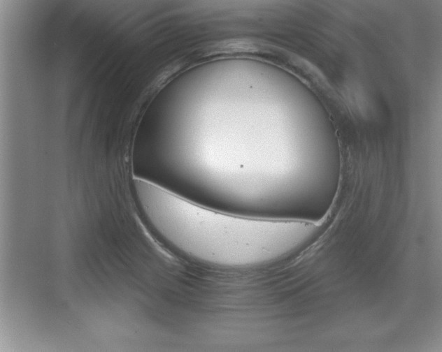 X0000076331225200609290844