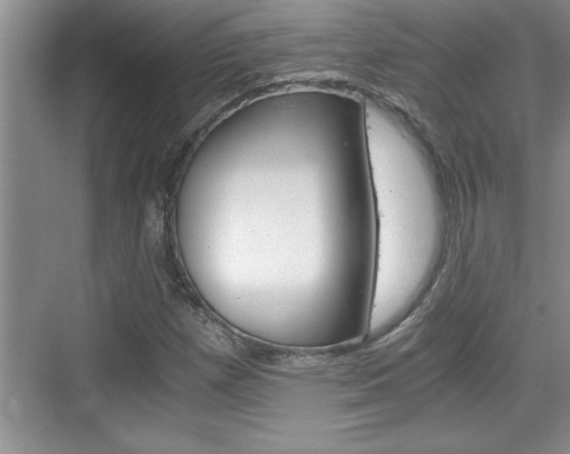 X0000076331257200609290844