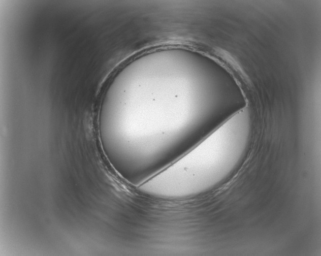 X0000076331260200609290844