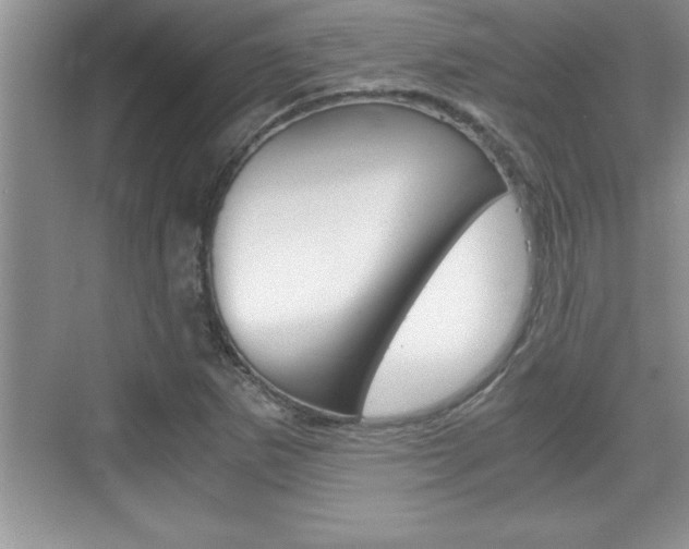 X0000076331265200609290844