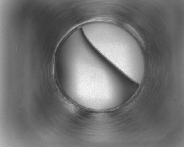 X0000076331276200609290843