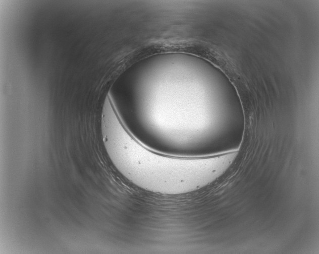 X0000076331300200609290842