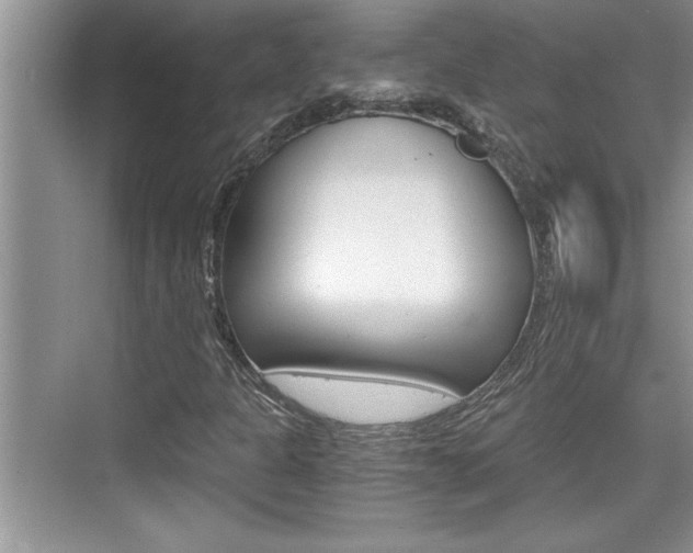 X0000076331301200609290842