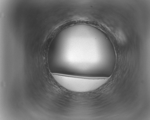 X0000076331303200609290842