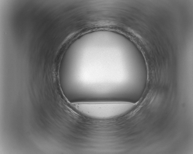 X0000076331306200609290842