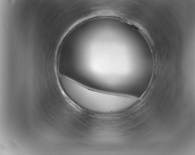X0000076331342200609290843