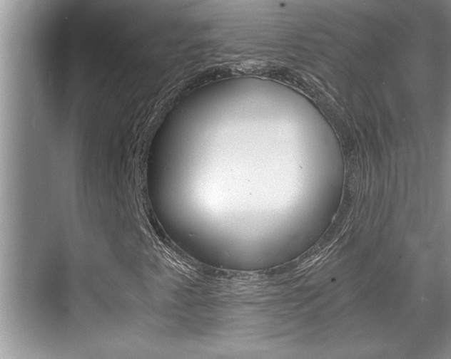 X0000076331345200609290842