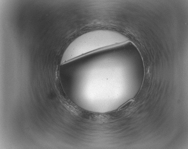 X0000076331348200609290842