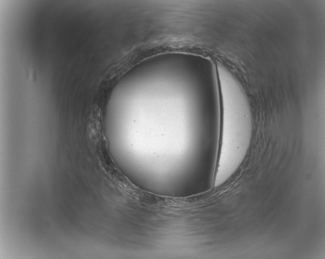 X0000076331349200609290842
