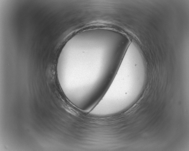 X0000076331355200609290842