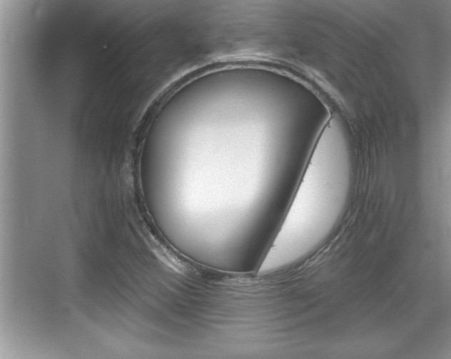 X0000076331356200609290842