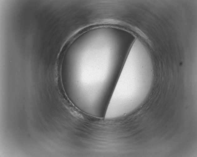 X0000076331364200609290842