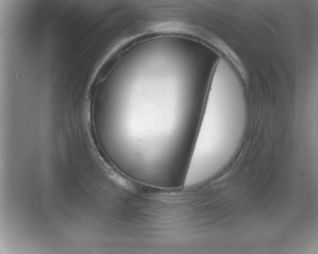 X0000076331376200609290842