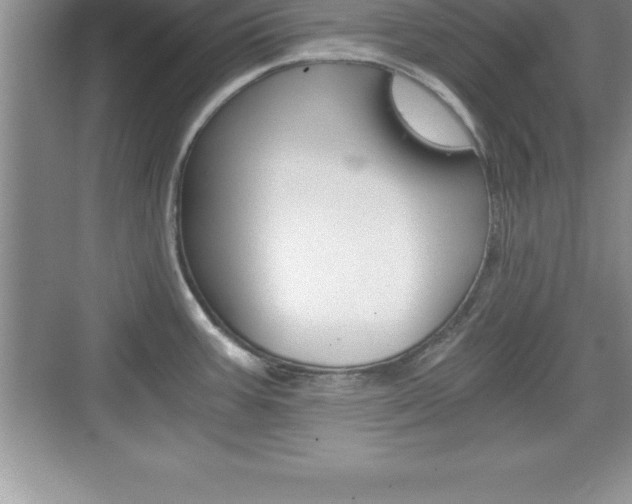 X0000076331387200609290841