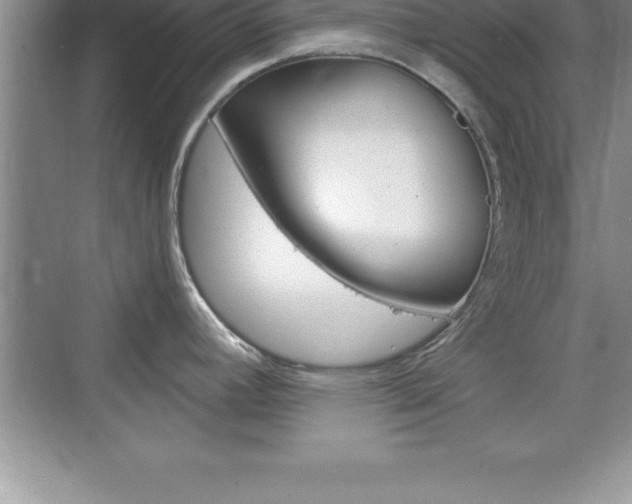 X0000076331392200609290841