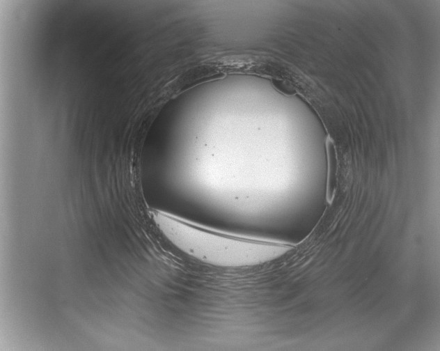 X0000076331394200609290841