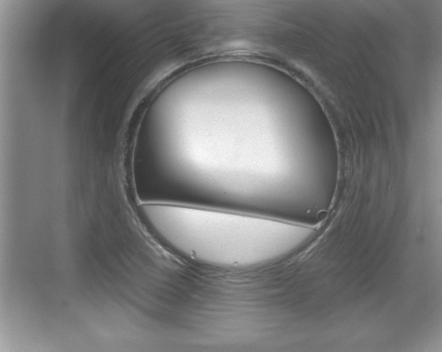X0000076331410200609290841