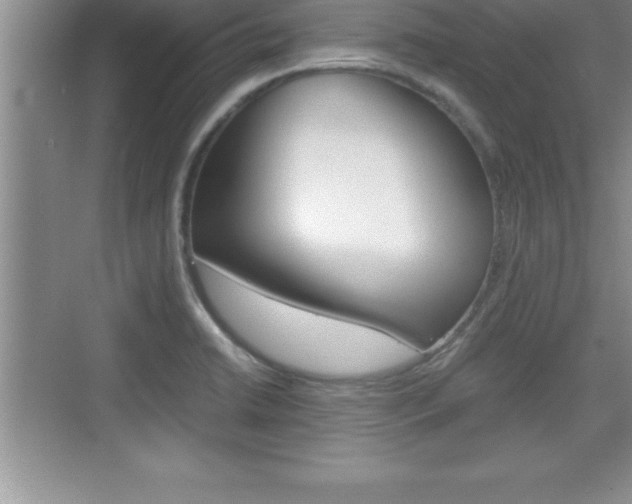 X0000076331422200609290841