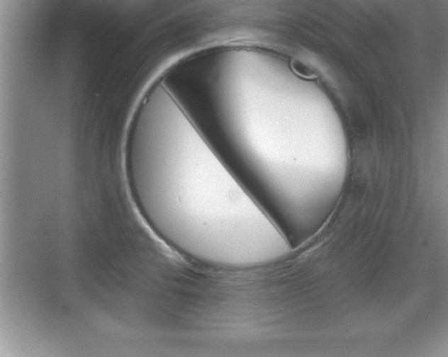 X0000076331424200609290841