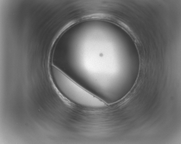 X0000076331426200609290841