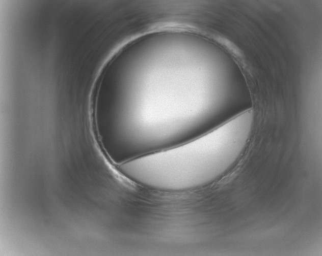 X0000076331430200609290841
