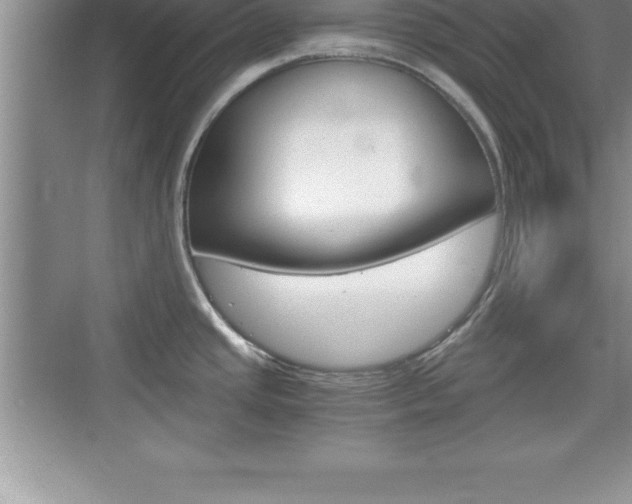 X0000076331437200609290841