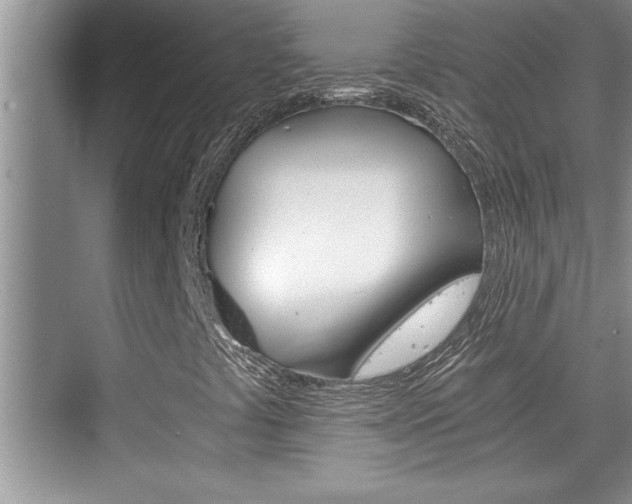 X0000076331441200609290841