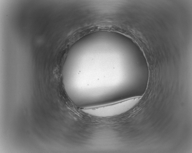 X0000076331445200609290841